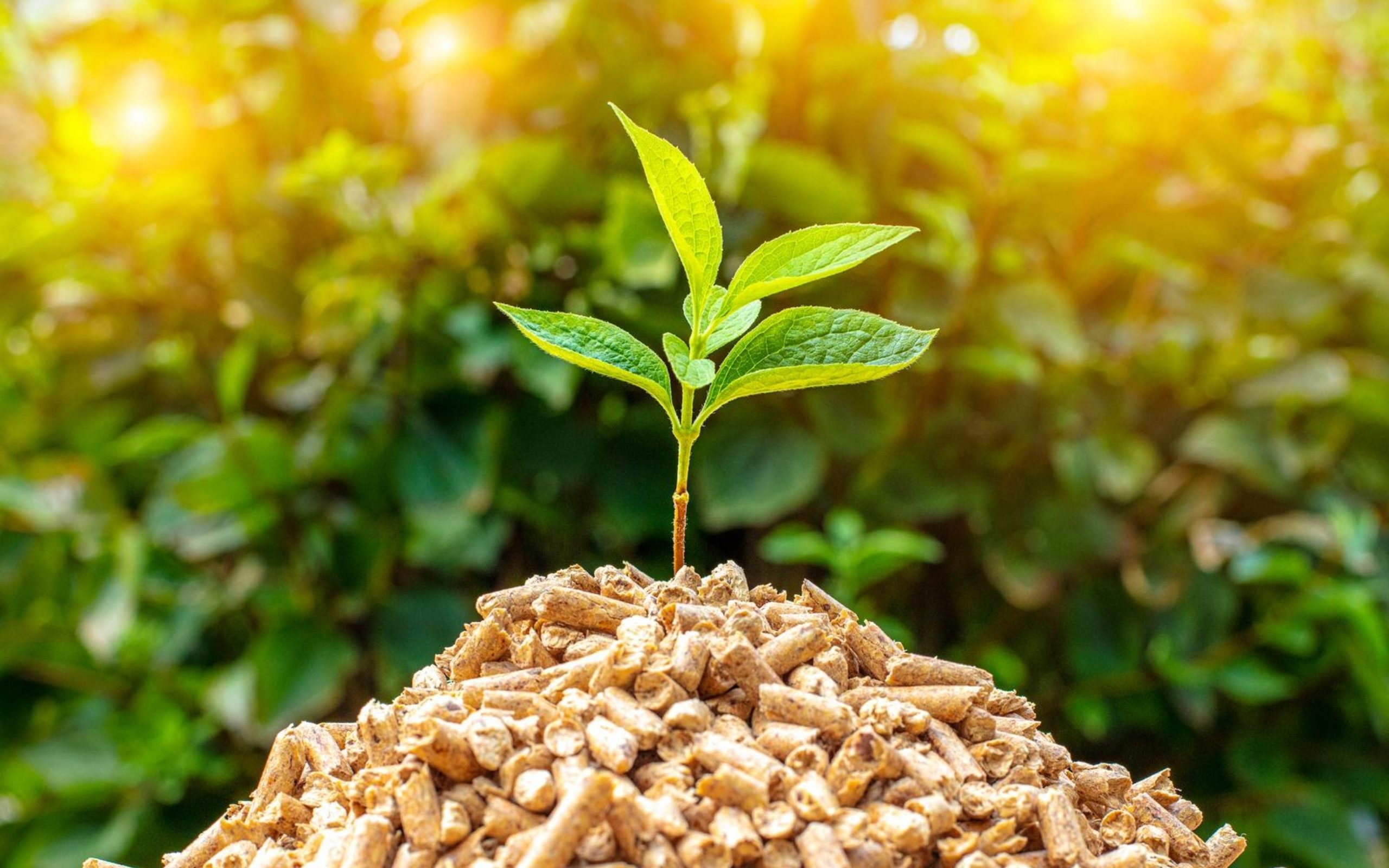 Tập đoàn Nhơn tân mong muốn chuyển đổi sang năng lượng tái tạo giúp giảm phát thải CO₂