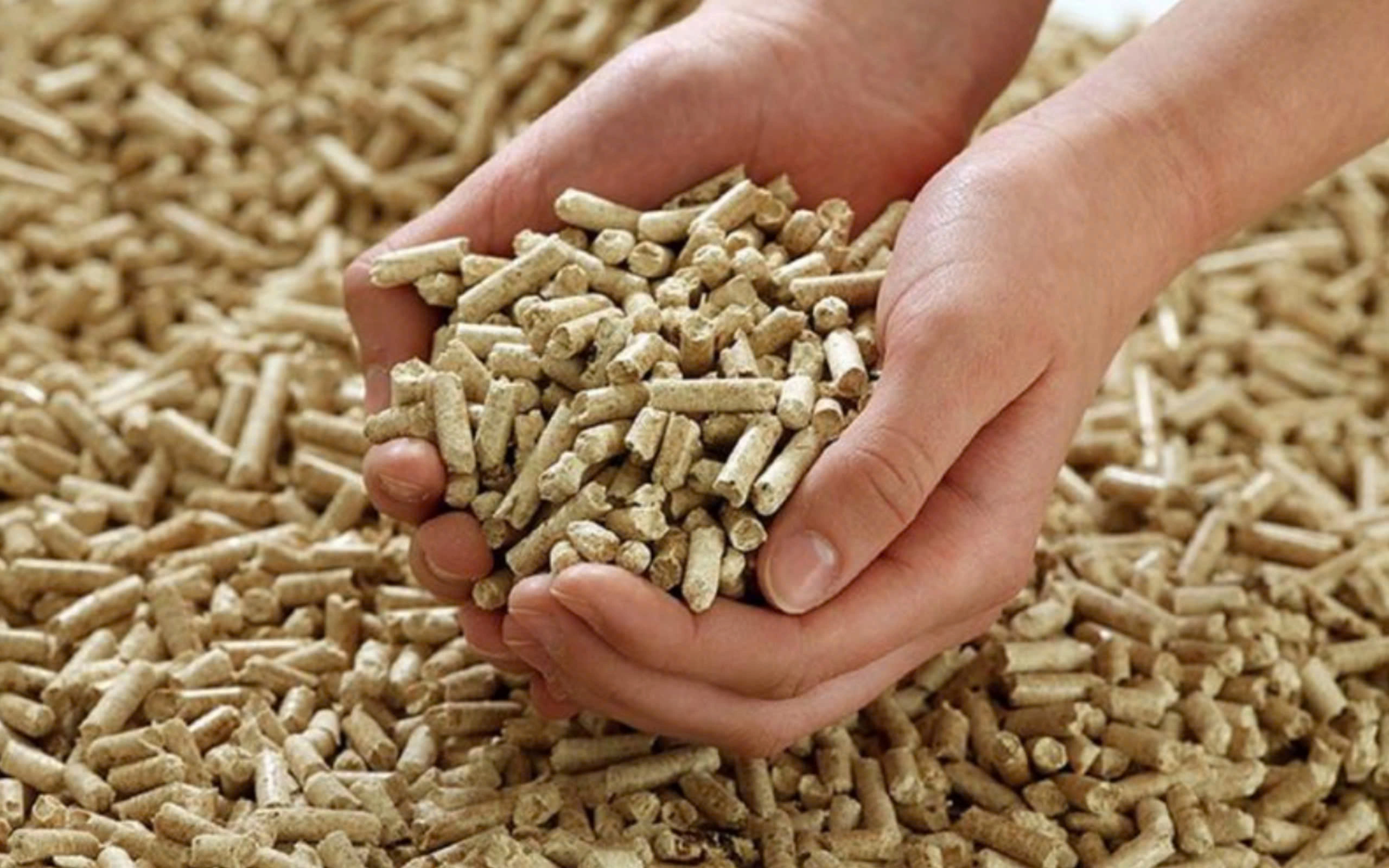 Hình ảnh viên nén sinh học - Giải pháp năng lượng xanh từ Nhơn Tân