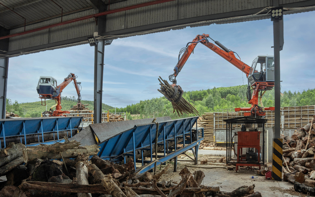 Nhà máy Nhơn Tân Group chế biến gỗ nguyên liệu, sản xuất viên nén gỗ xuất khẩu đạt chuẩn quốc tế.